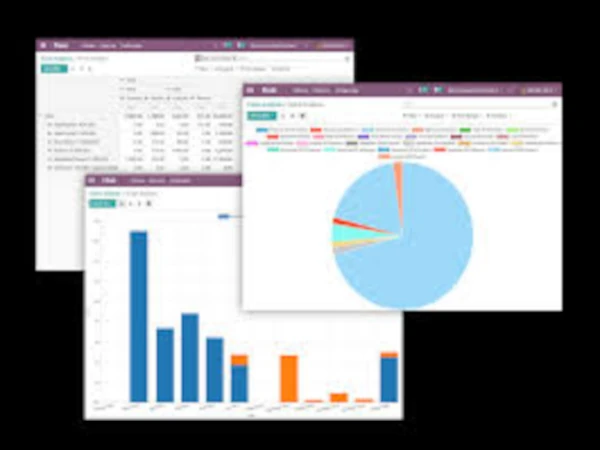 Análisis de Costos de Flota Odoo